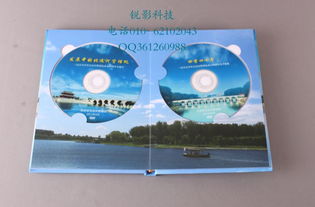 批量復制、印刷與制作DVD光盤的全流程指南
